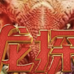 PG电子《寻龙探宝》:唤醒巨龙的传说,开启财富的奇幻冒险-白菜论坛-博彩论坛