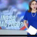 42名中国人在 奎松度假村 打野被抓-白菜论坛-博彩论坛