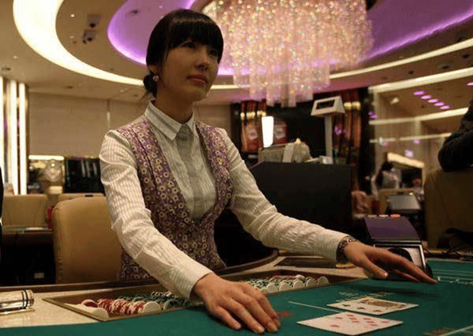 白菜论坛管理平台