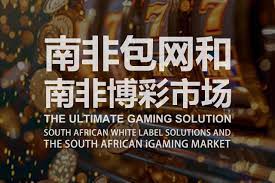 龙七赔率随场浮动吗?实例观测