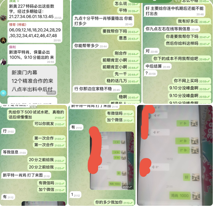 黑台曝光  新澳门六合彩-白菜论坛-博彩论坛